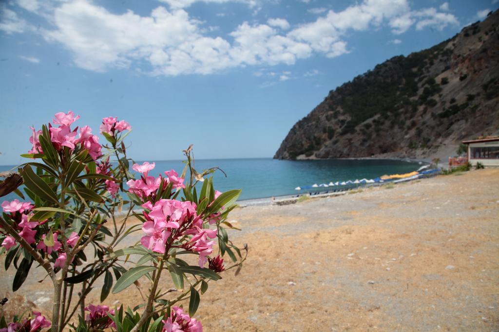 אגיה רומלי Paralia Guest House מראה חיצוני תמונה