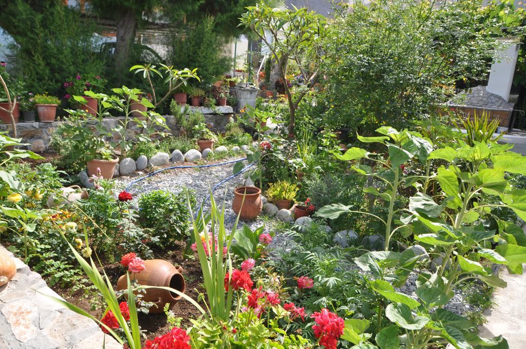 אגיה רומלי Paralia Guest House מראה חיצוני תמונה